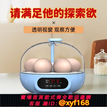 {可打統編 保固一年}蘆丁小雞蛋孵化器迷你孵蛋器小型家用全自動智能孵化機水床孵化箱