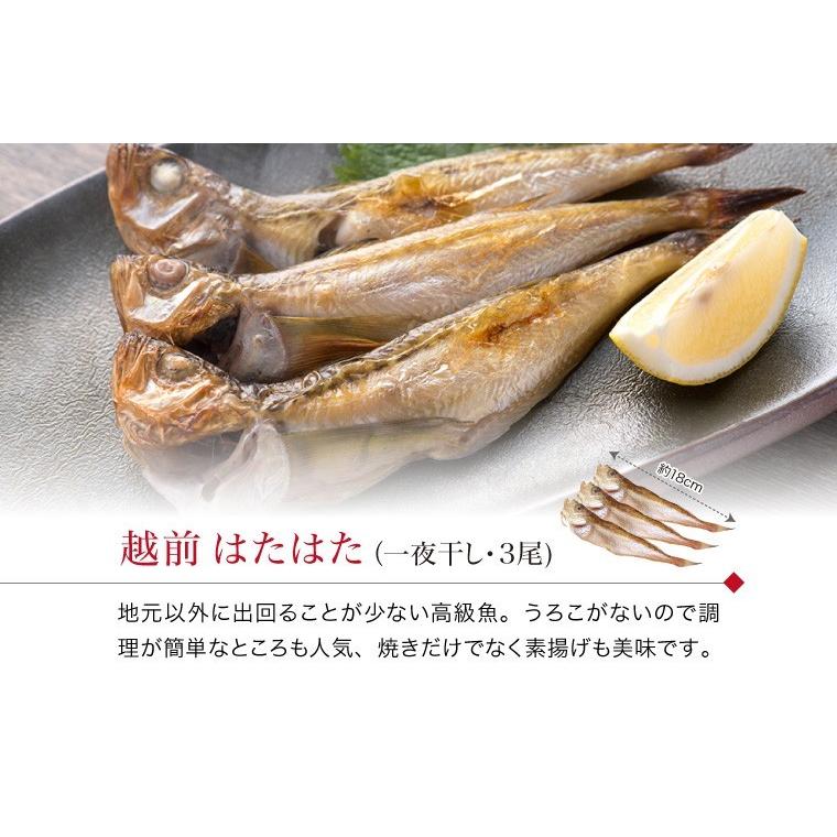 干物 5種7枚 のどぐろ 魚 干物 入＋ 西京漬け 2種(赤魚 さば) ((冷凍)) お取り寄せ 一夜干し魚 プレゼント ギフト