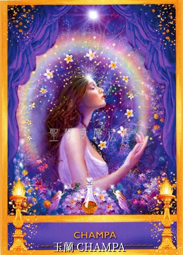 玉蘭 CHAMPA【5*7吋美國進口正版作品】精靈天使精油神諭卡 - 精油天使系列畫