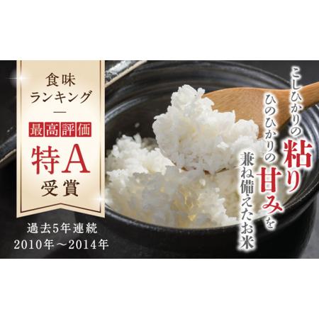 ふるさと納税   森のくまさん 白米 10kg(5kg×2袋)お米 コメ 熊本 特A 精米 ごはん 特産.. 熊本県山鹿市