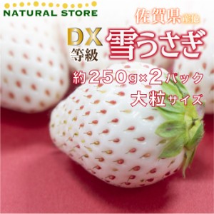 [予約 2024年1月5日-1月30日の納品] 雪うさぎ 約250g× 2パック DX 化粧箱 佐賀県産他 いちご 甘い 白い苺 ブランドいちご ギフト