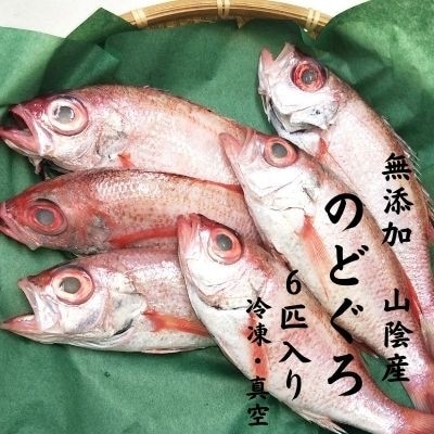 無添加・日本海産のどぐろ(鮮魚・冷凍)6匹入