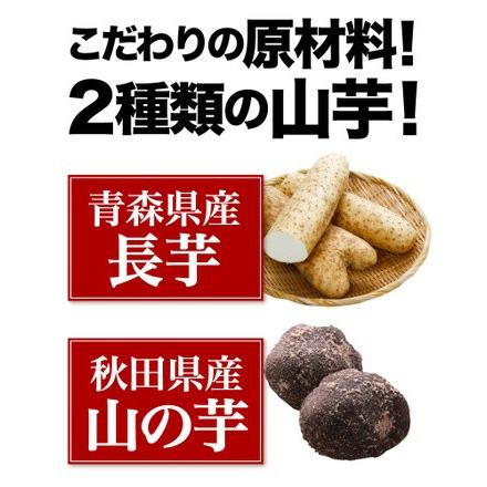 とろろ 冷凍 送料無料 青森県産 つくね芋入り生とろろ1kg 2種類の山芋 青森県産長芋 栄養豊富 無添加 グルメ クール Y凍