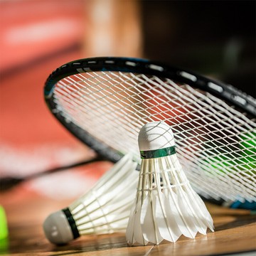 得力安格耐特F2207訓練耐打羽毛球 訓練級12個/盒(鵝毛+臺纖球頭)