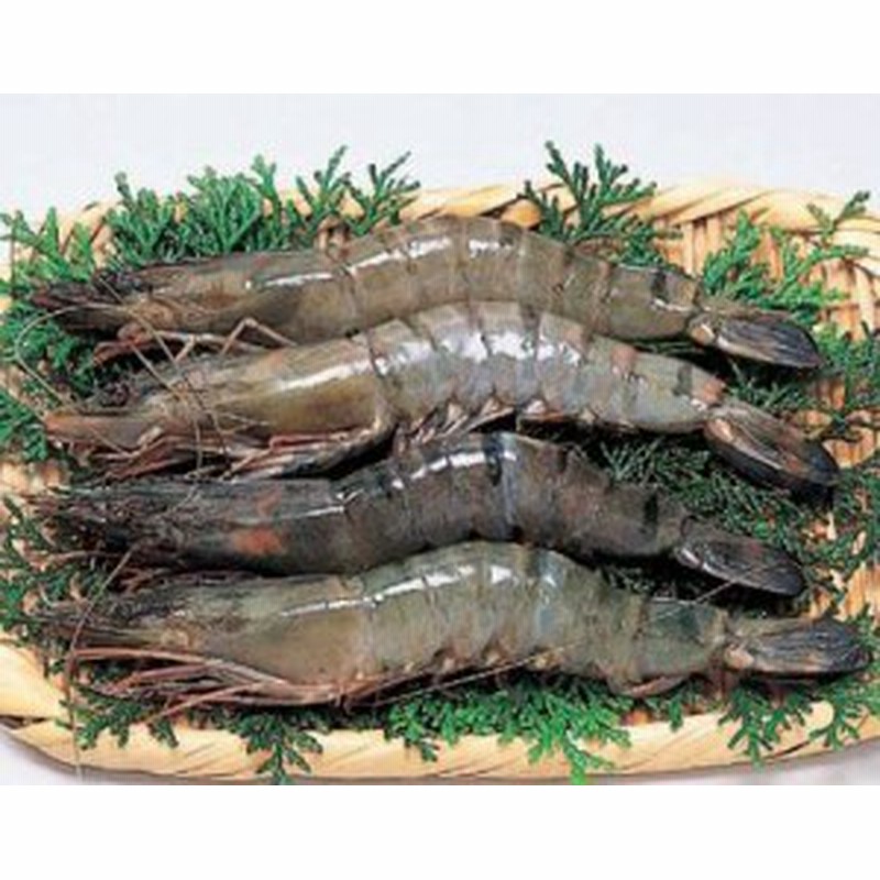 聖なる海老 ブラックタイガー オーストラリア産 1kg 31 40尾 刺し身にも最適 Nh2147 有頭殻つき 通販 Lineポイント最大1 0 Get Lineショッピング