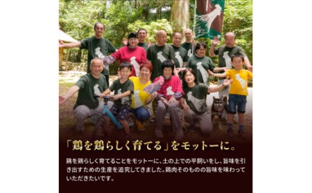 人気の鶏肉 高知県の地鶏「土佐ジロー」カット肉1kg 訳あり でない 肉 鶏肉 若鶏 国産 真空 冷凍 冷凍庫 鳥 鳥肉 鳥もも 鳥もも肉