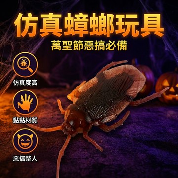 【台灣現貨】 逼真蟑螂 蟑螂玩具 整人玩具