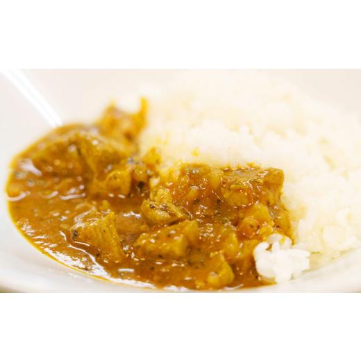 ふるさと納税 愛知県 幸田町 幸田消防カレー 200g×6個入り レトルトカレー カレー 小麦粉不使用