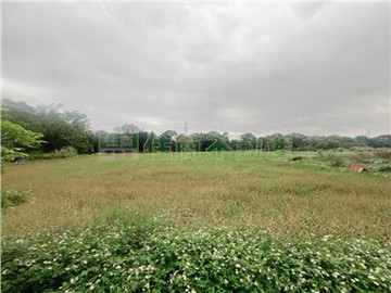 正五福街方正農地｜桃園市龍潭區健行段