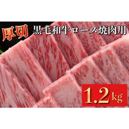 ふるさと納税 牛ロース 厚切り 焼肉用 京都府産 黒毛和牛 豪華2段重 600g×2 計1.2kg《急速冷凍 真空パック 贈答 プレゼント ギフ.. 京都府亀岡市