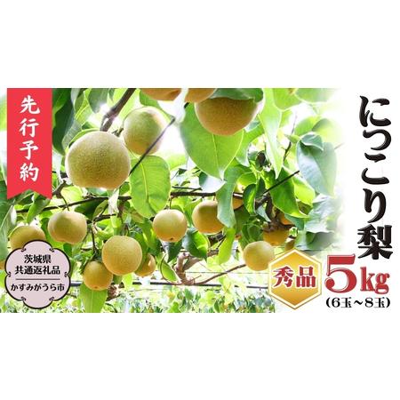 ふるさと納税  《 秀品 》 にっこり梨 約5kg 6玉〜8玉 （茨城県共通返礼品／かすみがうら市） 鈴木農園 産地直送 フルーツ 甘い .. 茨城県桜川市