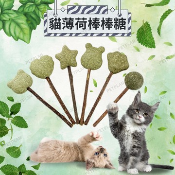 ☀️貓狗市集☀️貓薄荷 木天蓼 貓薄荷棒棒糖 貓咪磨牙棒 潔齒棒 貓咪自嗨棒 貓咪玩具