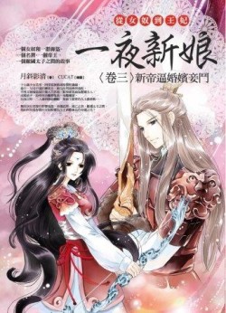 一夜新娘（卷三）：新帝逼婚嬪妾鬥[二手書_良好]