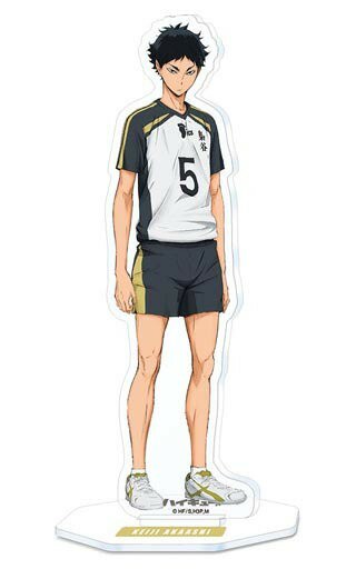 8.赤葦京治壓剋力立牌「排球少年！」