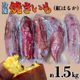 茨城県産 冷凍 焼き芋 約1.5kg イモ いも さつま芋 サツマイモ さつまいも お菓子 スイーツ [CO001ci]