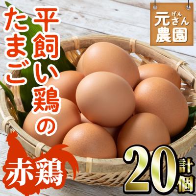 ふるさと納税 佐伯市 元さん農園 平飼い赤鶏のたまご (計20個・10個×2P)