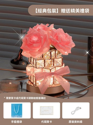 OSLE 新年生日禮物女生送閨蜜朋友送給女孩實用的高級感小夜燈擺件