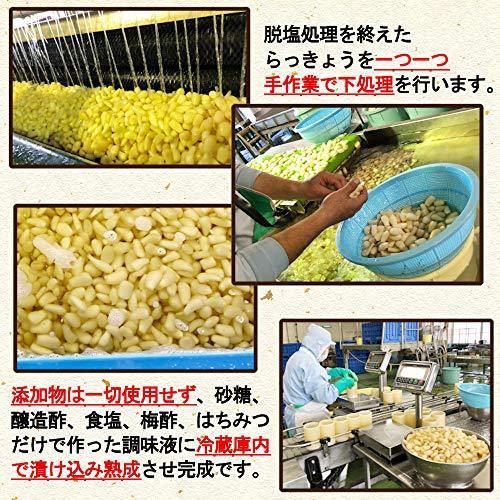 天長食品 らっきょう漬け 190gX2袋 鳥取砂丘 無添加 国産 低温熟成