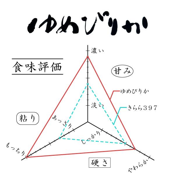 新米 米10kg お米 北海道米 ゆめぴりか 玄米 10kg 5kg×2 令和５年産 送料無料