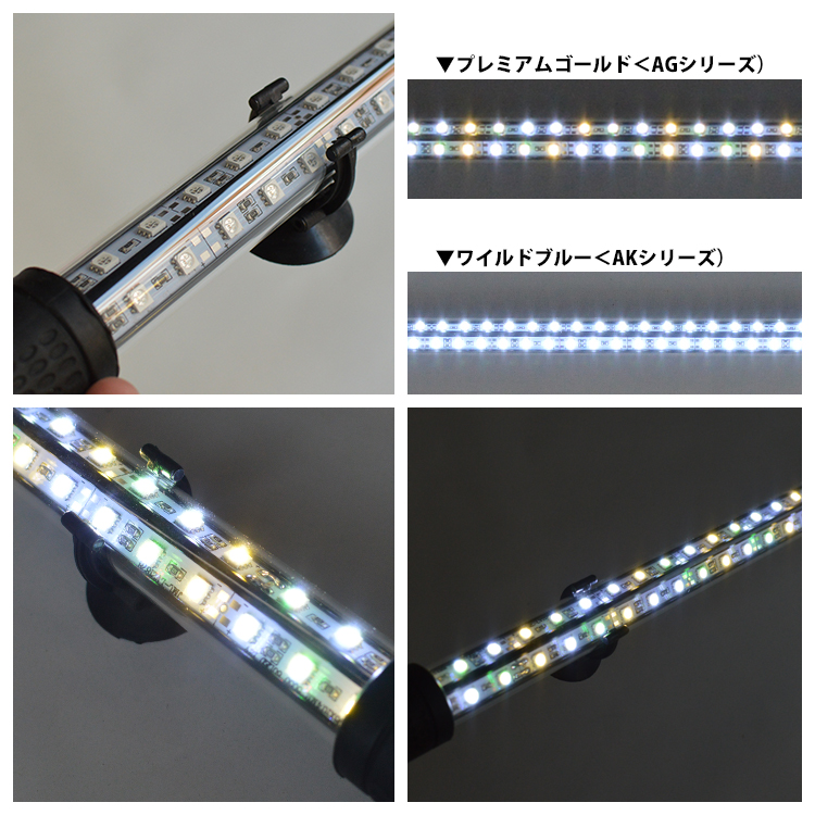 プレミアムゴールドEX アロワナ水中照明 LED2列 金龍 150cm水槽用