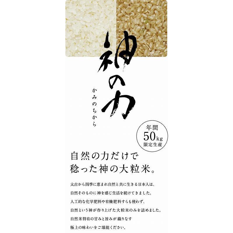 北村広紀の自然米「神の力」白米 コシヒカリ　5kg贈答用 ギフト  新米 佐賀県産 最高クラス しんまい こめ