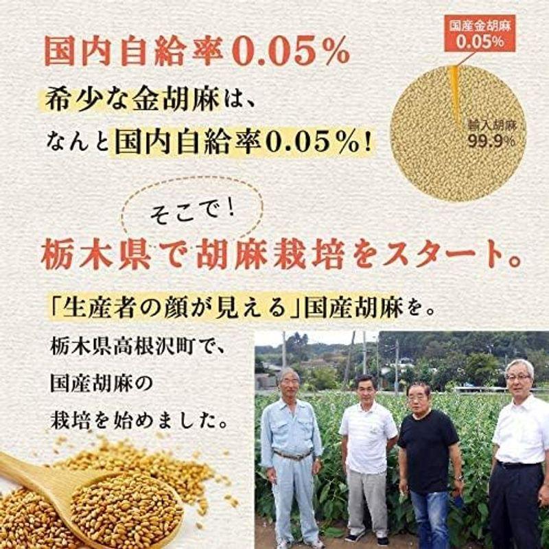 波里 国産 いりごま 金 100g×3袋 栃木県産