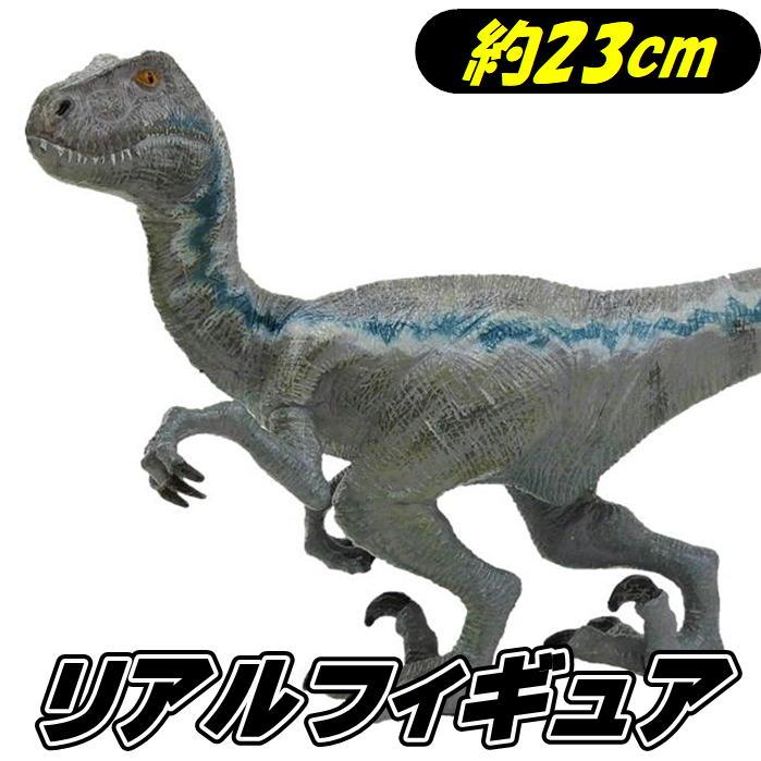 ヴェロキラプトル フィギュア 23cm リアルモデル 恐竜 フィギア