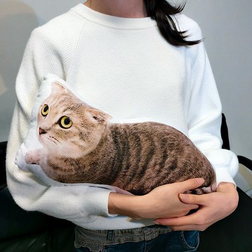 仿真寵物抱枕 | 紀念 | 狗 | 貓 | 老鼠 | 爬蟲類 | 蜜袋鼯 30-60