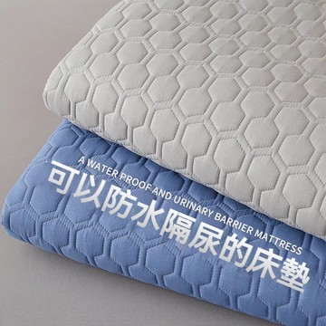 Chic🔥 防水保潔墊 防水床墊 平單保潔墊 保潔墊單人 隔尿墊 防水墊 床墊保潔墊 薄床墊 保潔墊雙人 雙人床墊