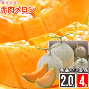 2024年 予約受付中 メロン ギフト 送料無料 北海道産赤肉メロン 約2.0kg×4玉(優品または秀品)   北海道産 道産 メロン めろん フルーツ