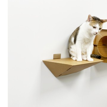 買一送一 折折跳台45cm(福利品)現貨/不可退換