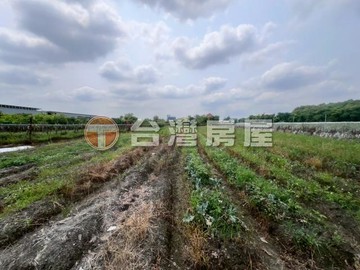 專-永靖東彰旁農保田｜彰化縣永靖鄉東寧段