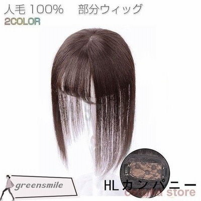 部分ウィッグ人毛100 トップカバー薄毛白髪隠し医療用ウィッグ総手植え自然小顔効果増毛分け目つむじ女性用つけ毛wigかつら30cm 通販 Lineポイント最大get Lineショッピング