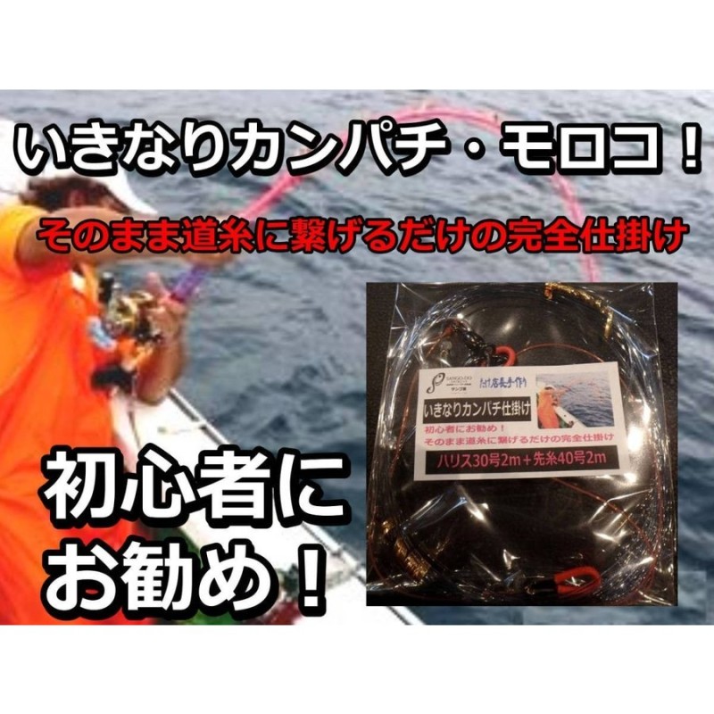 いきなりカンパチ 泳がせ完全仕掛け ハリス２０号 先糸24号 たけ店長こだわりの手造り仕掛け カンパチ ヒラマサ ブリ クエ 通販 Lineポイント最大0 5 Get Lineショッピング