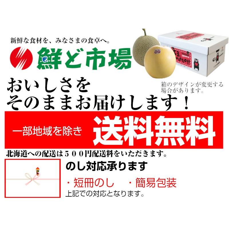 熊本特産詰め合せ果物２点セット2 アールスメロン・晩白柚 送料無料 果物ギフト ギフト・ご贈答用 果物詰め合わせギフト