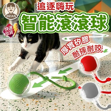 智能逗貓滾滾球【布萊恩👨🏻隔日到貨】電動逗貓玩具 自動逗貓球 智能逗貓球 貓咪玩具 放電玩具 充電式滾滾球 寵物用品