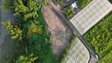 阿蓮區雄峰段靜逸農地✨享受慢活自在日常29626｜高雄市阿蓮區雄峰段