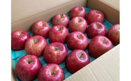 No.2065りんご　サンふじ　家庭用約5kg　林檎　リンゴ