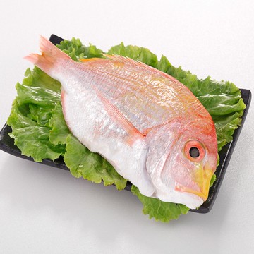 【華得水產】台灣野生赤宗魚1尾(300-350g/尾/去鰓、去鱗、去內臟)