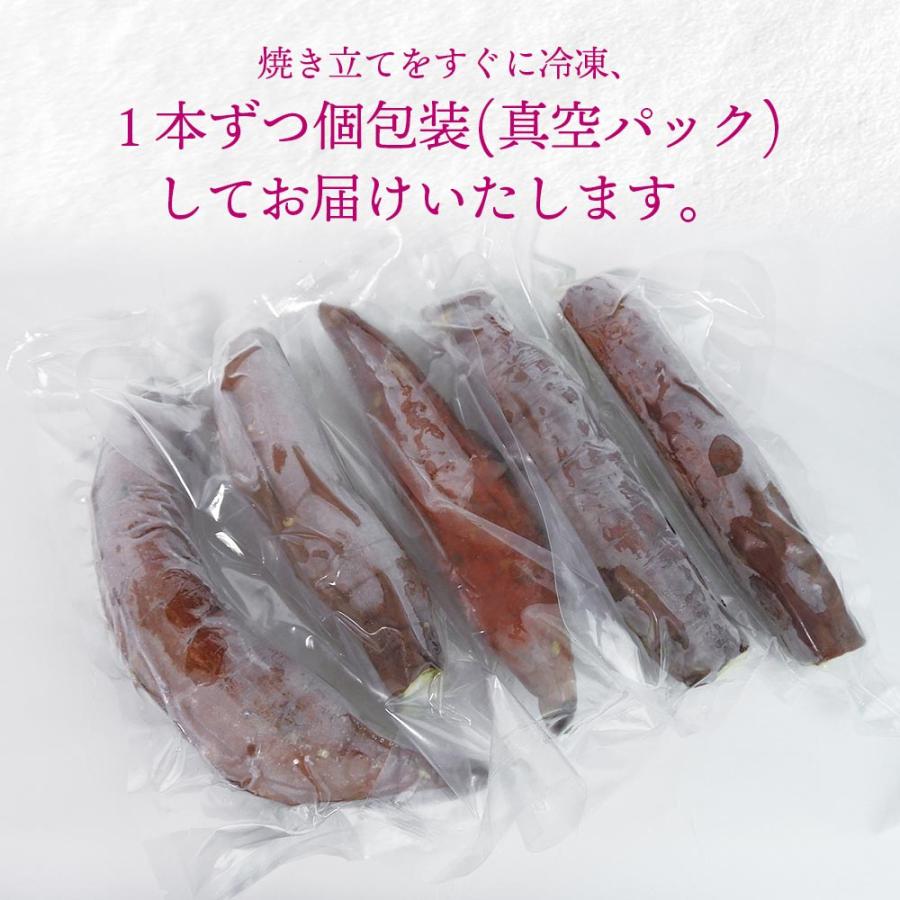 さつまいも さつま芋 薩摩芋 焼き芋 いも いもジェンヌ 新潟県産 1.5kg 4〜5本 長期熟成 グルメ (メーカー直送 代引き不可)