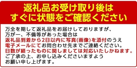 akune-30-5 ＜定期便・全6回(偶数月)＞阿久根市の山の幸・海の幸！不知火・そら豆・タカエビ・メロン・伊勢えび・ぼんたんなど)国産 柑橘 みかん フルーツ 果物 魚介 頒布会30-5