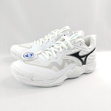 Mizuno V1GA251351 Wave Momentum ELITE 男排球鞋 3E寬楦 白x黑銀