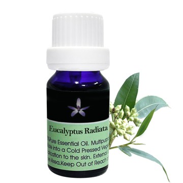 Body Temple 100%有機尤加利芳療精油(Eucalyptus Radiata oil)10ml