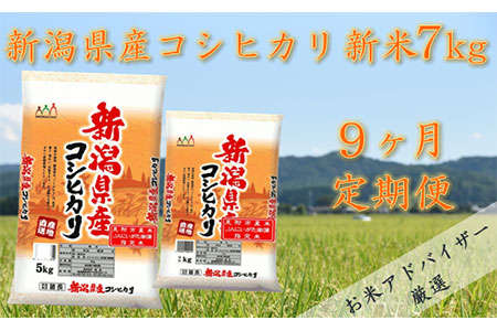 令和4年産 新潟県産 コシヒカリ 7㎏（精米）