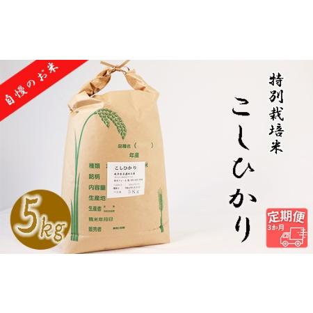 ふるさと納税 垂井町産コシヒカリ(5kg×3回） 岐阜県垂井町