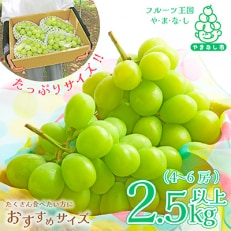 山梨県産シャインマスカット2.5kg以上(4～6房) ふるさと納税