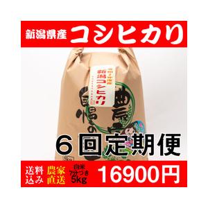 お米 5kg 白米 送料無料 新潟県糸魚川産 コシヒカリ 新米 精米7分 令和5年度産 6回定期便