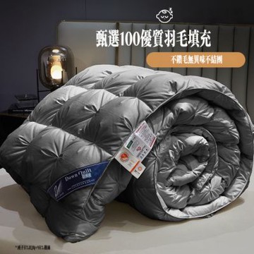 加厚保暖冬被芯 非95白鵝絨 羽絨被 酒店單人鴨絨被 春秋棉被子
