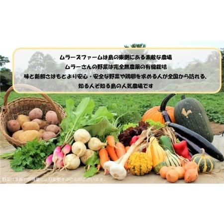 ふるさと納税 季節の野菜詰め合わせ（5〜6種）と平飼い卵セット！農薬不使用だから安心安全！ 島根県海士町