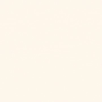 獨家專約~金店面雙連捷運商圈✨超稀有釋出✨｜台北市中山區天祥路